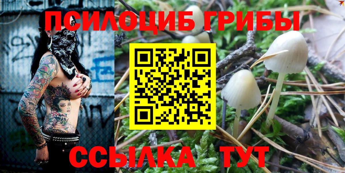Галлюциногенные грибы прущие грибы Славгород