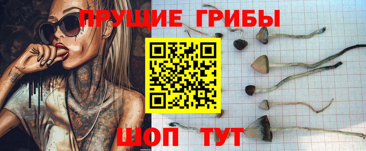 Псилоцибиновые грибы Славгород