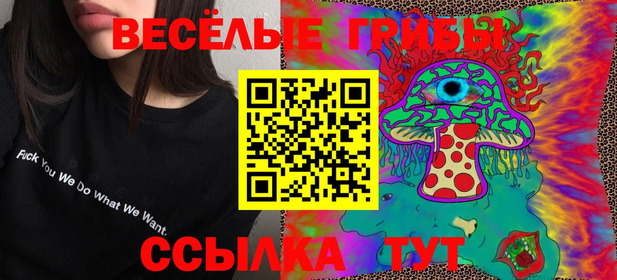 Галлюциногенные грибы Psilocybine cubensis  Вход с VPN  Славгород 