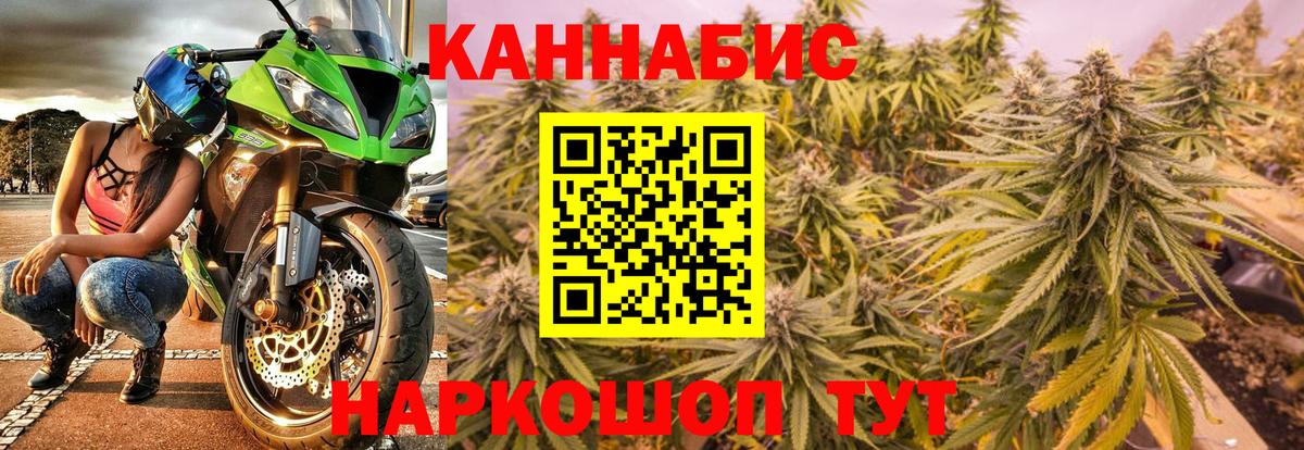 Бошки Шишки сатива Славгород